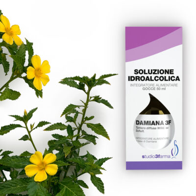 Damiana 3F