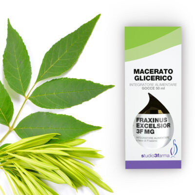 Fraxinus excelsior 3F MG