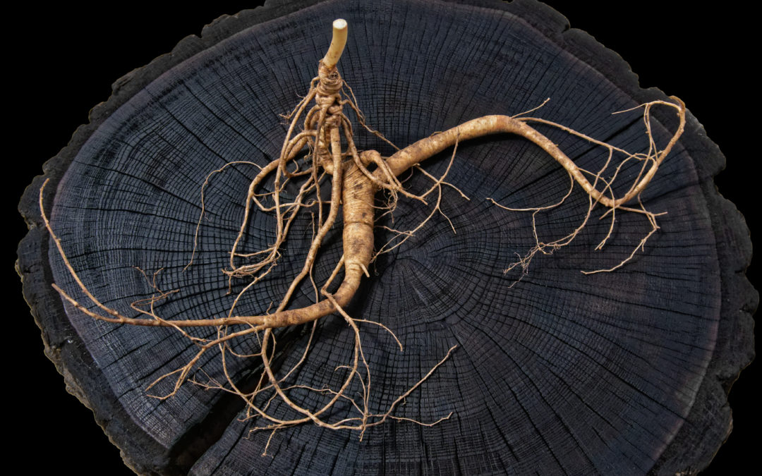 Estratto di Ginseng