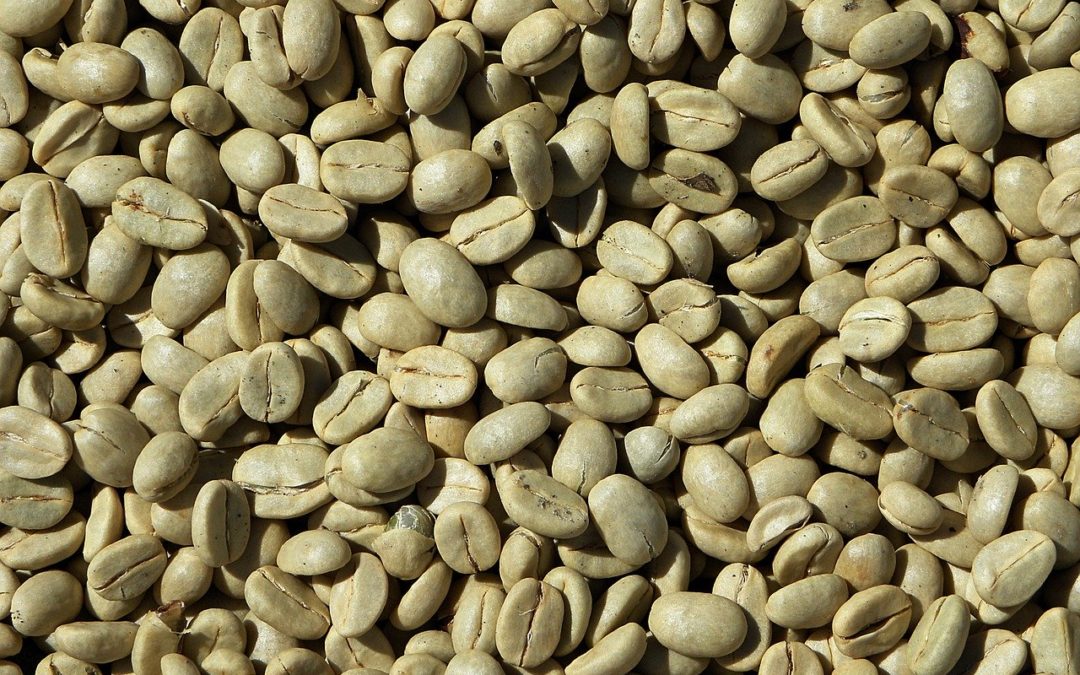 Caffè Verde, tutte le proprietà benefiche