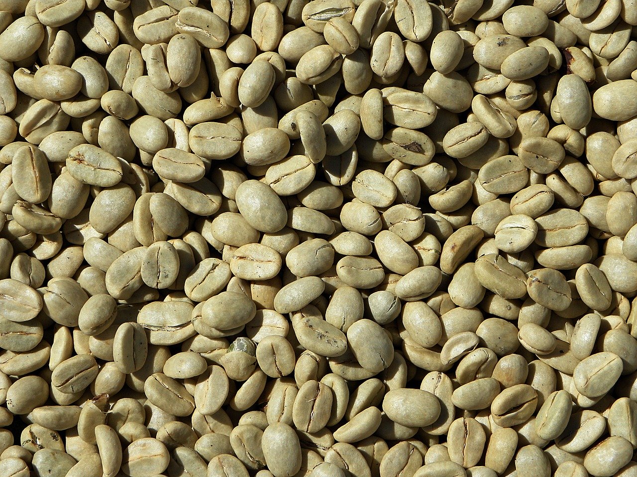 Caffè Verde