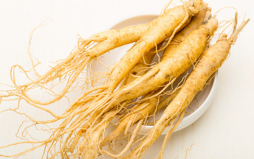 Ginseng, il ricostituente naturale