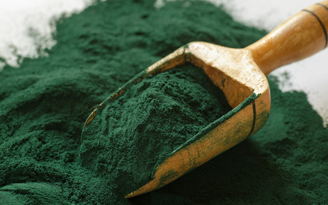 Alga Spirulina, cos’è e a cosa serve