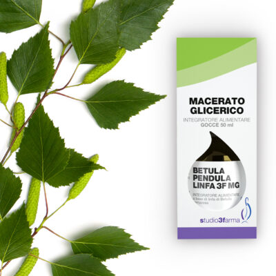 Betula pendula linfa 3F MG