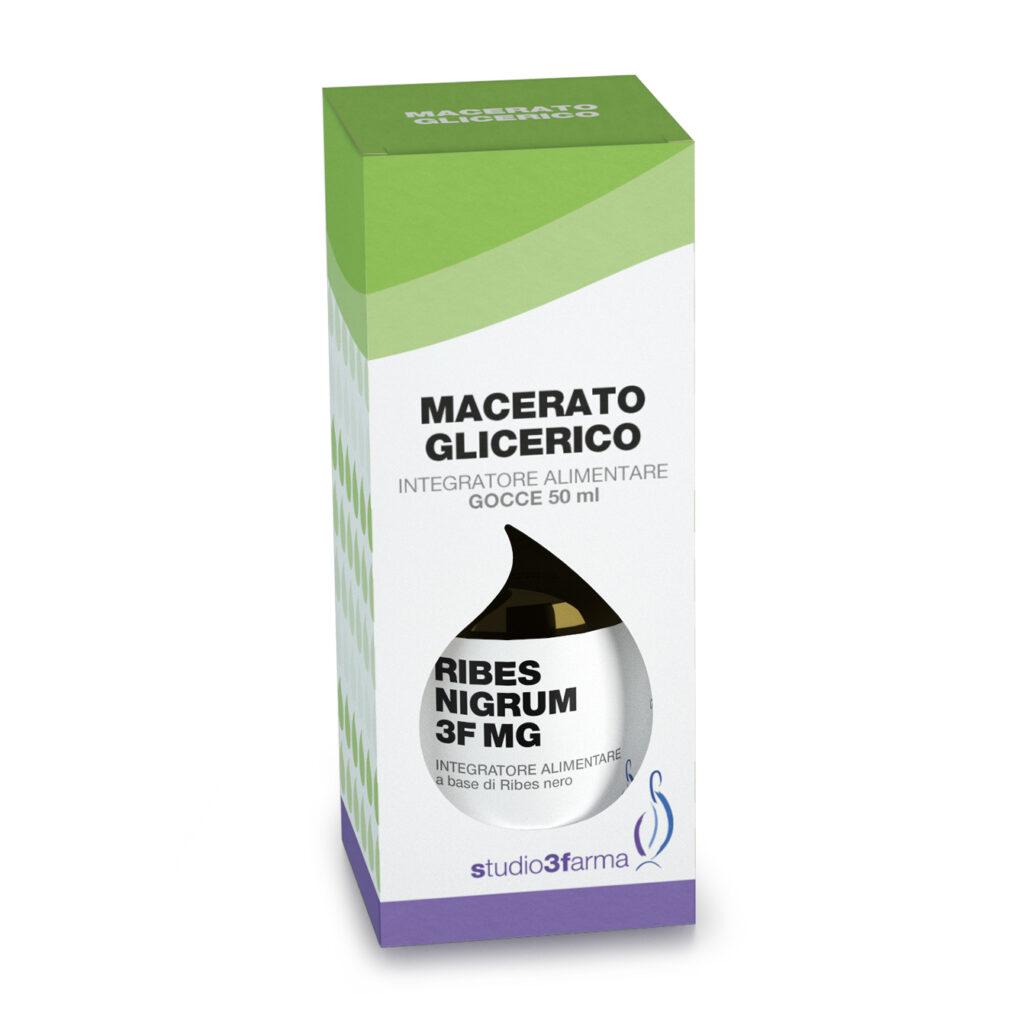Ribes nigrum 3F MG