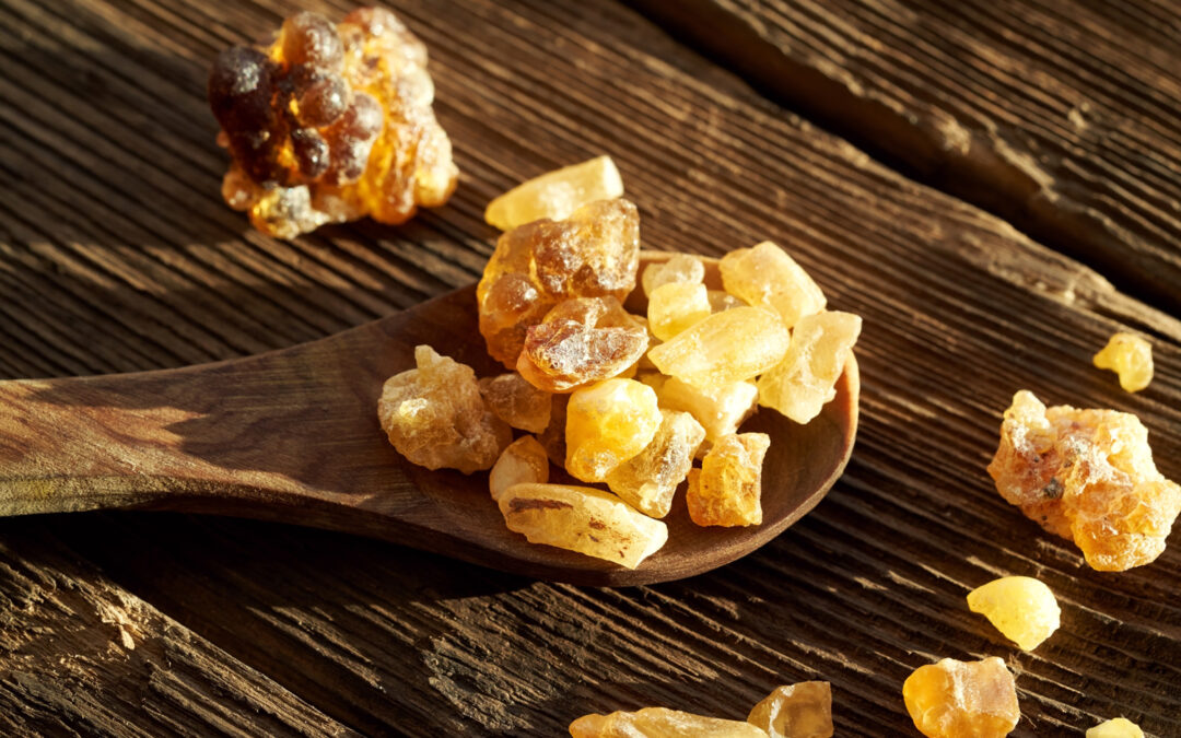 Boswellia, la resina che combatte le infiammazioni