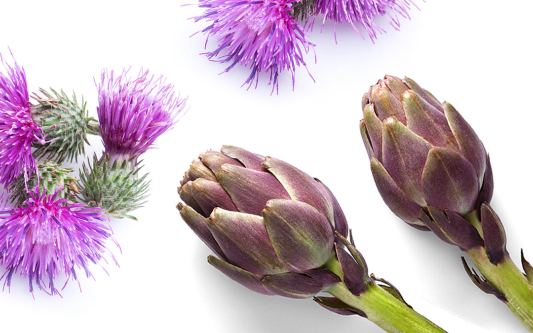 Depurare il fegato in modo naturale