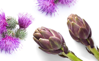 Depurare il fegato in modo naturale